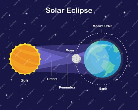 Premium Vector | Diagram showing solar eclipse Sun Earth and Moon vector infographic