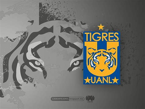 Ligrafica Mx Tigres Uanl Hd Wallpaper Pxfuel