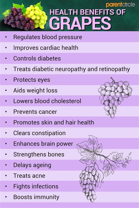 Why You Should Include Grapes In Your Diet Types Of Grapes Their