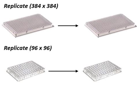 QPix Microbial Colony Pickers Applications How It Works