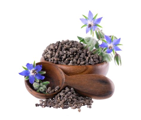 Premium Photo Borage Seeds With Flowers In Wooden Bowl Isolated On A