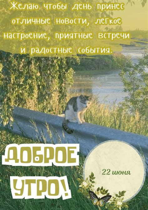 Картинки доброе утро 22 июня (50 открыток) • Прикольные картинки