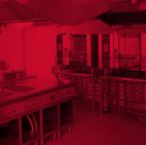 Heating Elements And Systems For Food Service Zoppas Industries