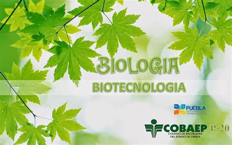 Biologia Beneficios De La Biotecnologia En Diferentes Campos