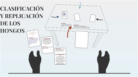 CLASIFICACIÓN Y REPLICACIÓN DE LOS HONGOS by ELENA HERNANDEZ on Prezi