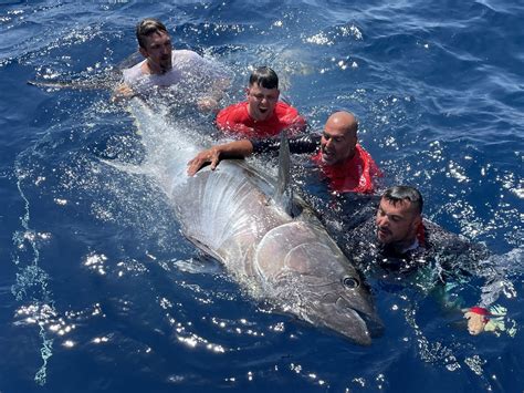 Tuna Xxl Vor Mallorca Raubfisch