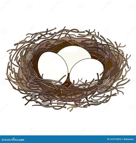 Drawing Birds Nest With Eggs