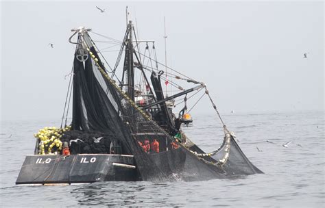 Primera Temporada De Pesca De Anchoveta Inicia El 12 De Abril En El