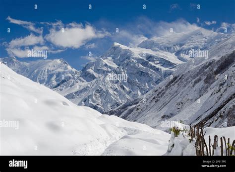 View Of The Annapurna Massif From Manang Annapurna Circuit Trekking