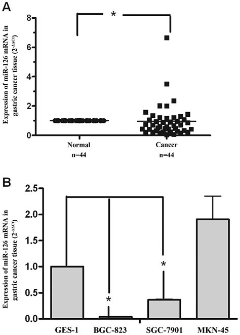 Mir 126 Inhibits Growth Of Sgc 7901 Cells By Synergistically Targeting