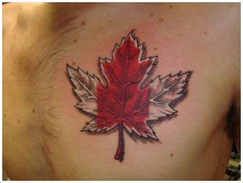 Lovely Leaf Tattoo Designs To Try With Meaning Maple Leaf Tattoo