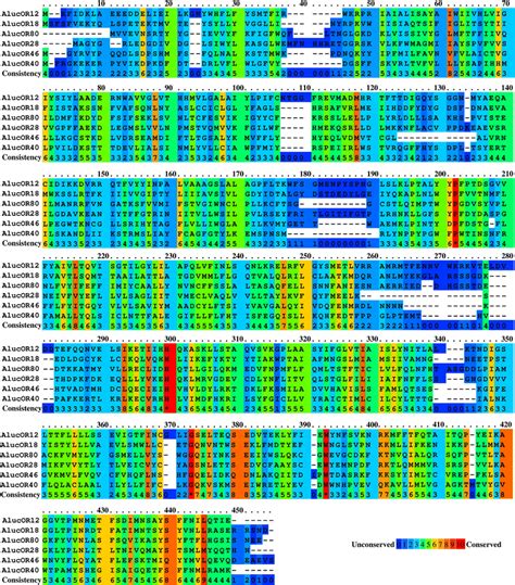 The Multiple Sequence Alignment Of Deduced Amino Acid Sequences Of Six