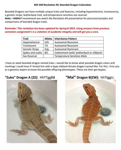 Bearded Dragon Color Chart