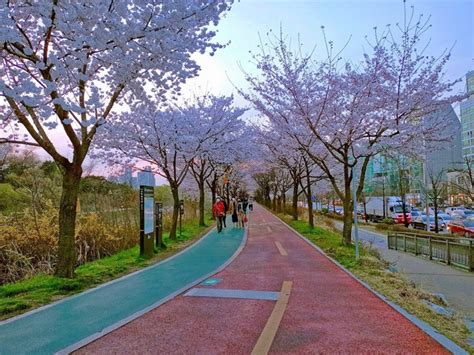 Best 4 Things to Do at Olympic Park Seoul