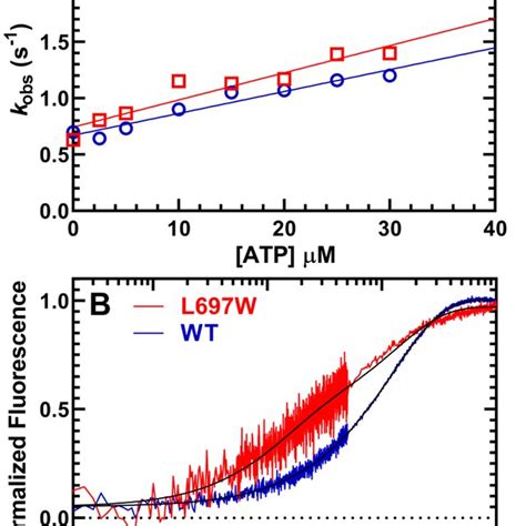 Steady State Atpase Properties A The Atpase Activity Was Monitored As