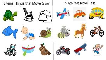 Things That Move Slow Confusing Words In English Slow Or Slowly