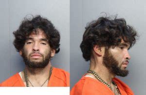 Montalvo Hector Moises Miami Dade County Mugshots Zone