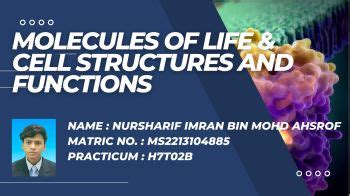 Molecule Of Life Cell Structure And Functions Sharifimran353 Flip