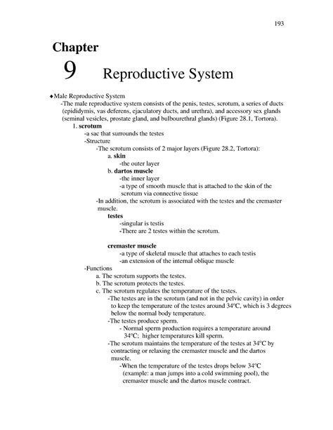 Ch 9 Reproductive System Chapter 9 Reproductive System ♦male Reproductive System The Male