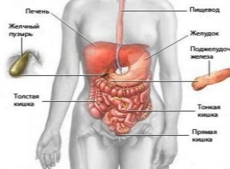 149 Lei In Loc De 300 Lei Pentru O Ecografie Complexa Abdominala Ficat