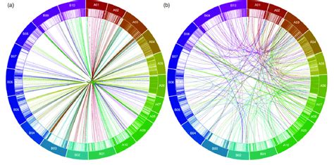 Circos Plots Showing The Distribution Of SNPs A Homeologous SNPs