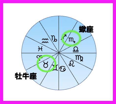 牡牛座の稼ぎ方と蠍座の稼ぎ方の違いとは？ 星読み師mariko