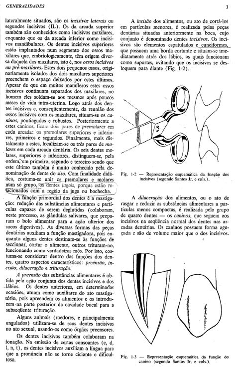 Anatomia Dent Ria Milton Picosse Anatomia Bucal