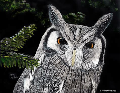 Wise Eyes – Judy Lavoie Art