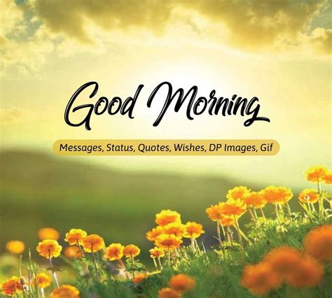 30 Good Morning Photos Download Good Morning Photos Instaloverz