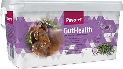 Pavo GutHealth 7 50 Kg EquusVitalis Onlineshop