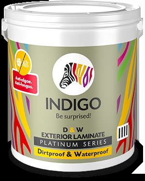 Investors - Indigo Paints