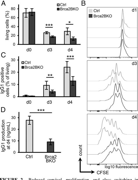 Figure 1 From Regulation Of The Germinal Center Reaction And Somatic