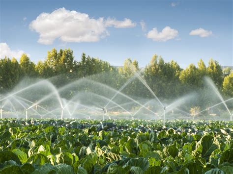 AgroBrasília 2018 destacará importância das tecnologias de irrigação