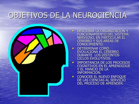 Ppt Las Neurociencias Cerebro Y Aprendizaje Powerpoint Presentation