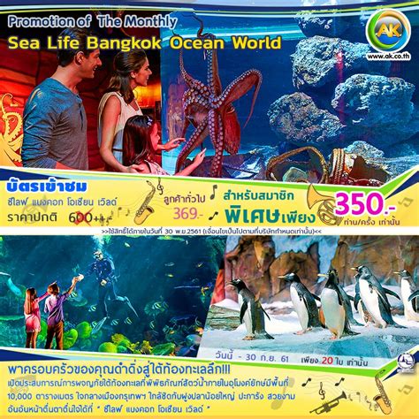 Ak พิเศษ Voucher 09 Sea Life Bangkok Ocean World ซีไลฟ์