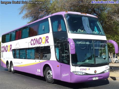 A Todo Bus Chile La Biblioteca Busóloga de Chile