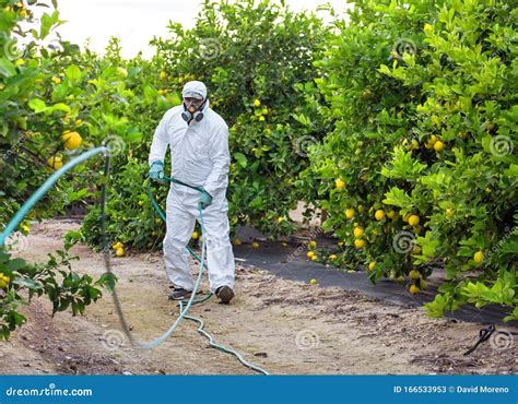 Organic Ecological Agriculture Spray Pesticides Insecticide On Fruit