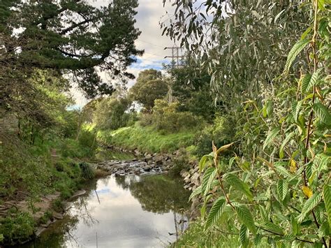 Gardiners Creek And Glen Iris Wetlands Trail Navigator Victoria