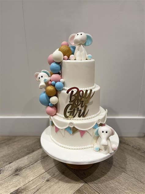 Baby Olifant Gender Reveal Taart Enjoy Cakes