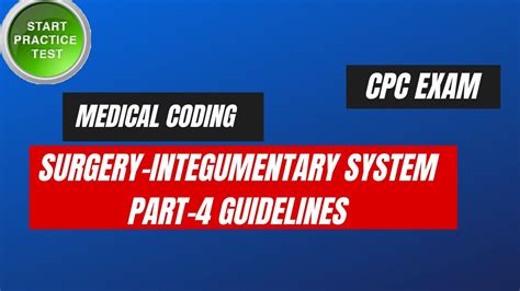 Integumentary System Guidelines And Practice Questions Part 4