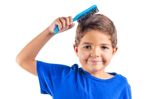 Boy With Hair Brushing PNG Transparent Images Free Download | Vector Files | Pngtree