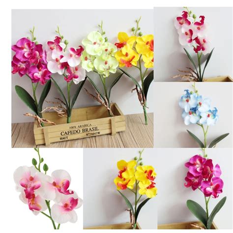 Einzigen 13 Phalaenopsis Orchidee Künstliche Niederlassungen Real