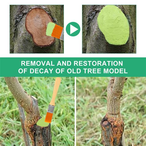 Teissuly Tree Pruning Sealer Aerosol Spray Tree Wound Spray For Pruned And Damaged Trees