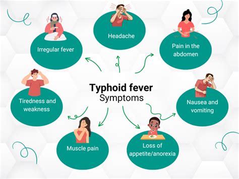 Typhoid Fever: Causes, Symptoms, and Prevention - WellaHealth