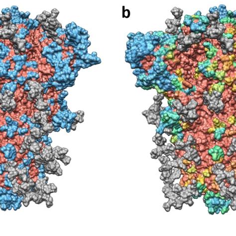 Antibody-accessible surface area (AbASA) of the spike glycoprotein. a ...