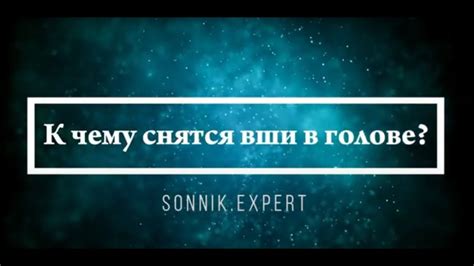 Что означает, если приснились вши - положительные и отрицательные ...