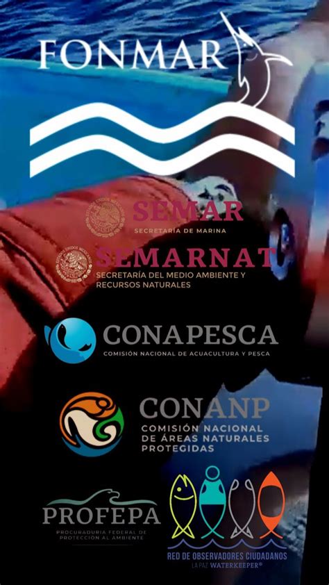 Lanza FONMAR App Para Reconocimiento De Especies Y Denuncias Ciudadanas