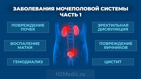 Водород и здоровье мочеполовой системы