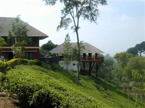 Magnificent Review Of Kebun Teh Wonosari Lawang Indonesia Tripadvisor
