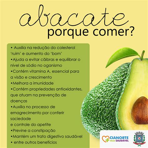 Confira Os Benef Cios Do Consumo Do Abacate Dia A Dia Noticias